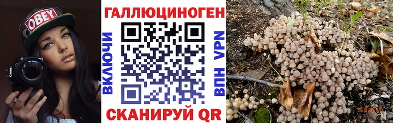 Псилоцибиновые грибы Cubensis  OMG маркетплейс  Усть-Кут 