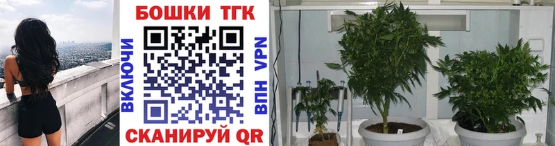 darknet клад  Усть-Кут  Каннабис сатива  купить закладку 